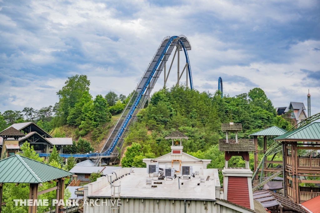 Wild Eagle at Dollywood