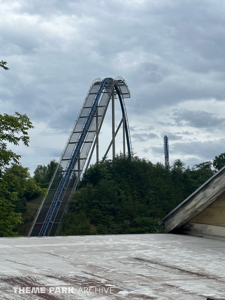 Wild Eagle at Dollywood