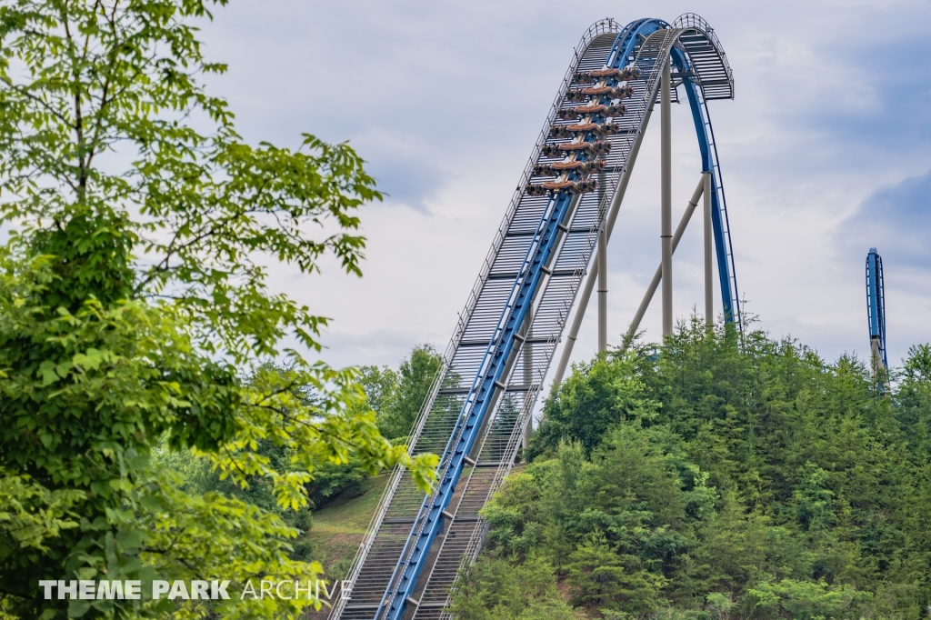 Wild Eagle at Dollywood