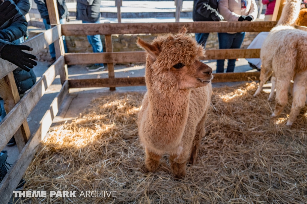 The Barnyard at Cedar Point