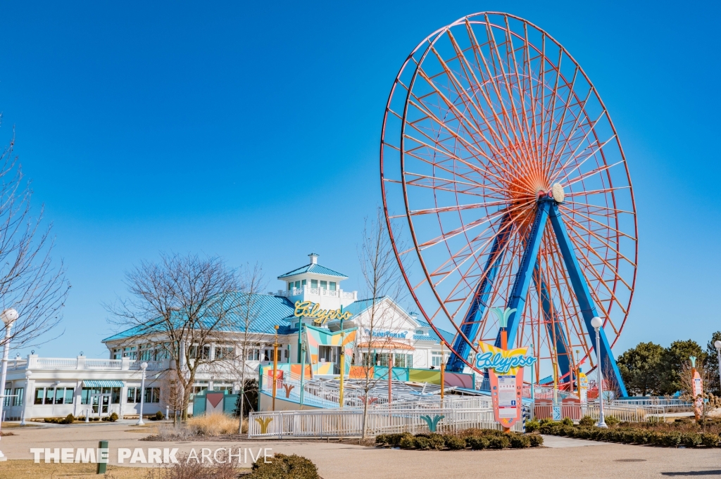 Giant Wheel at Cedar Point