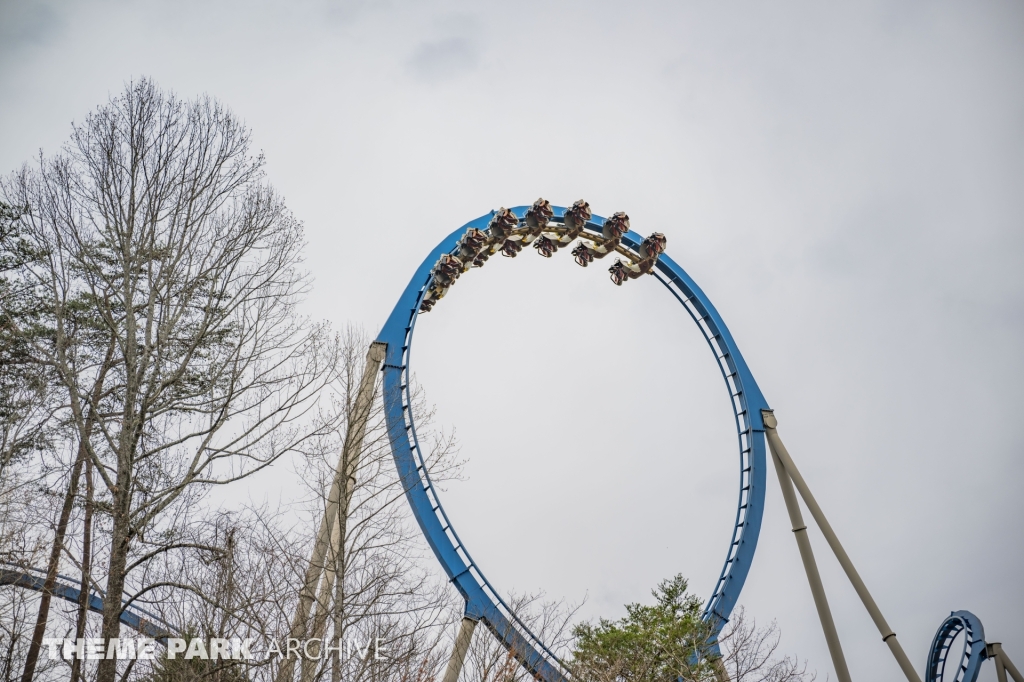 Wild Eagle at Dollywood