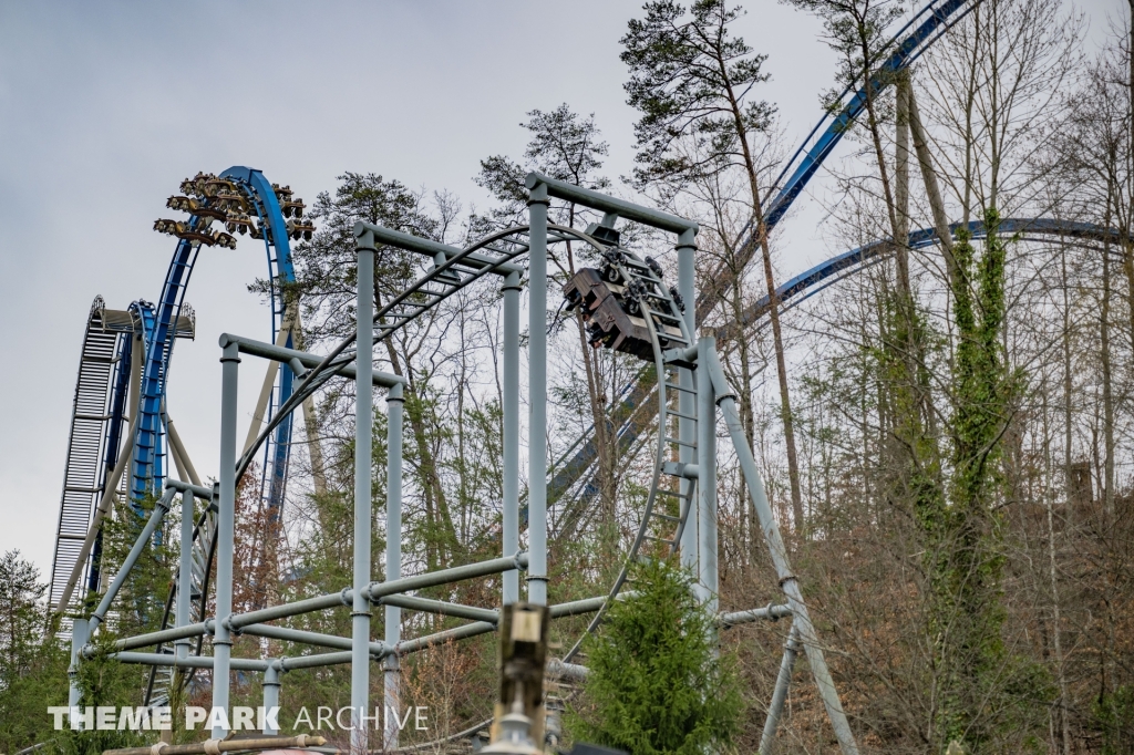 Wild Eagle at Dollywood