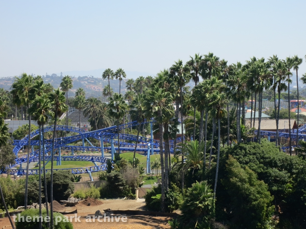 Manta at SeaWorld San Diego