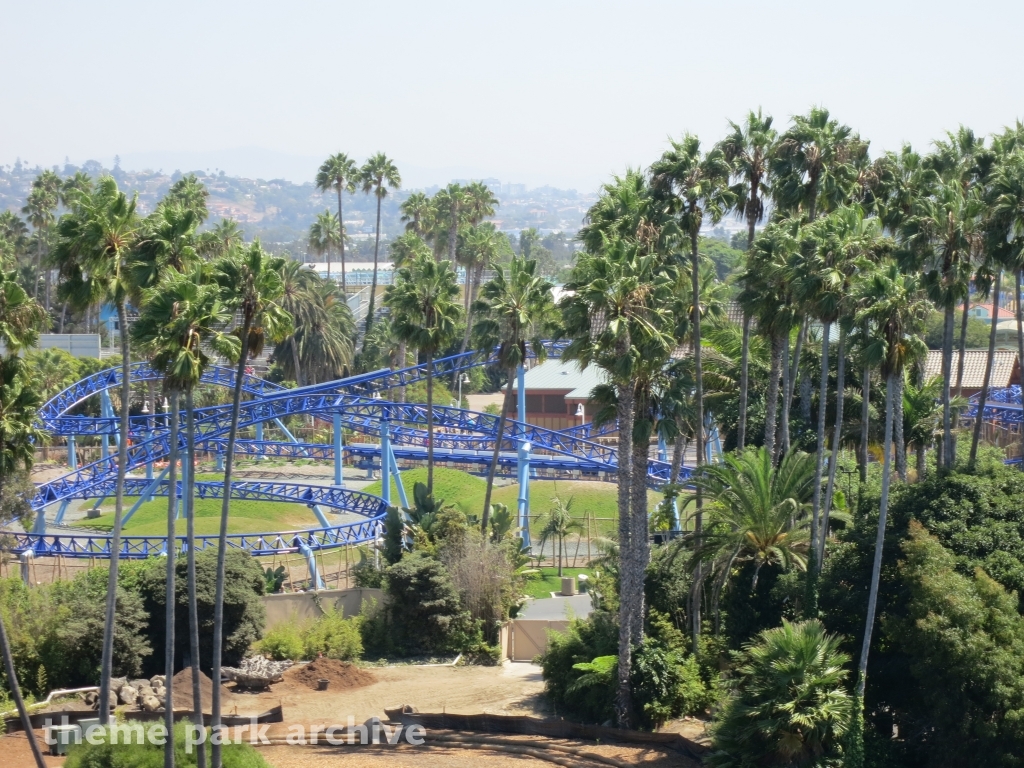 Manta at SeaWorld San Diego