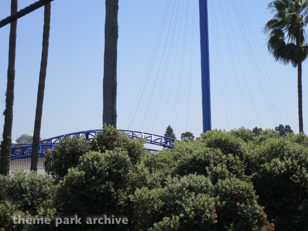 Manta at SeaWorld San Diego