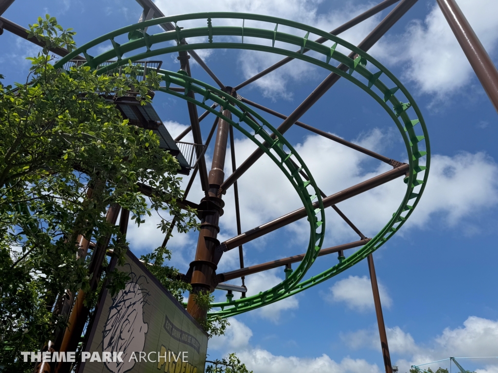 Flying Ace Aerial Chase at Kings Island