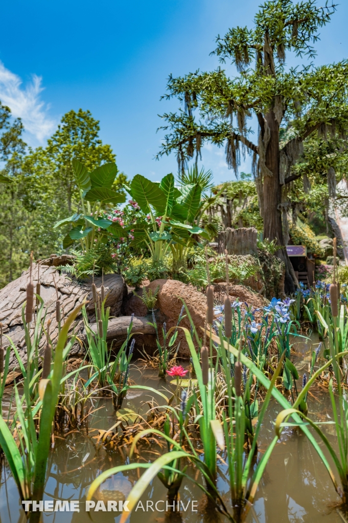 Tiana's Bayou Adventure at Magic Kingdom