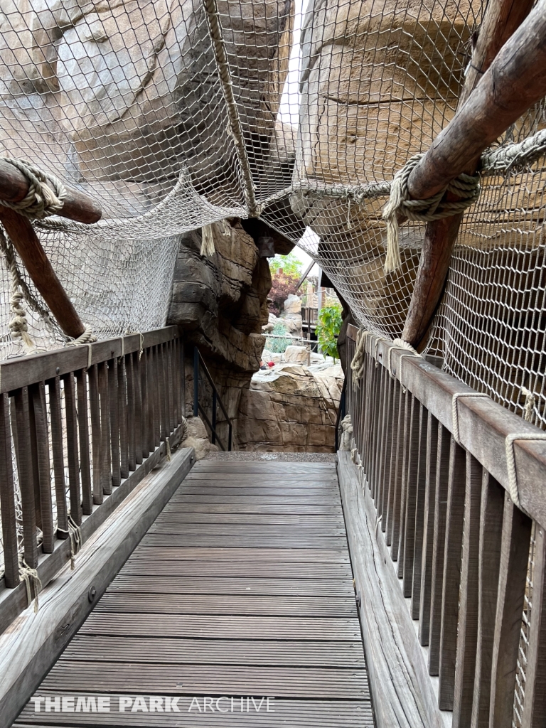 Black Mamba at Phantasialand