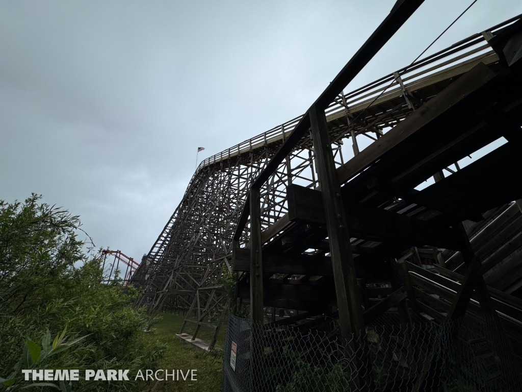 Wolverine Wildcat at Michigan's Adventure