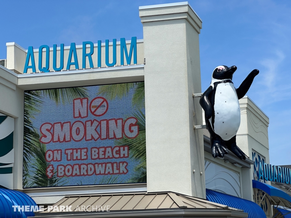 Aquarium at Jenkinson's Boardwalk