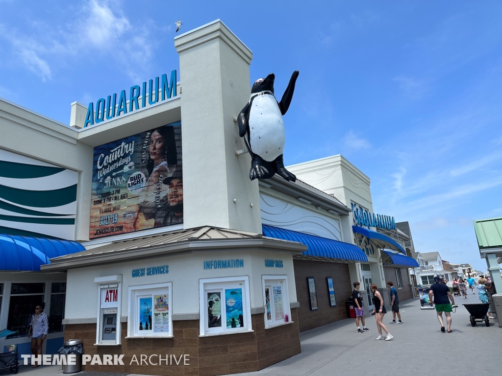 Aquarium at Jenkinson's Boardwalk