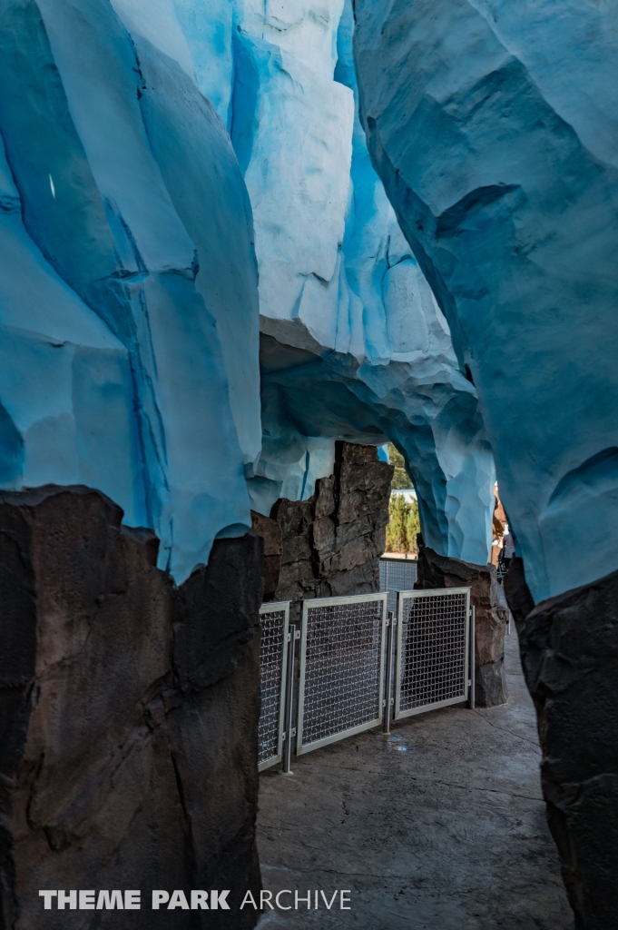 Penguin Trek at SeaWorld Orlando