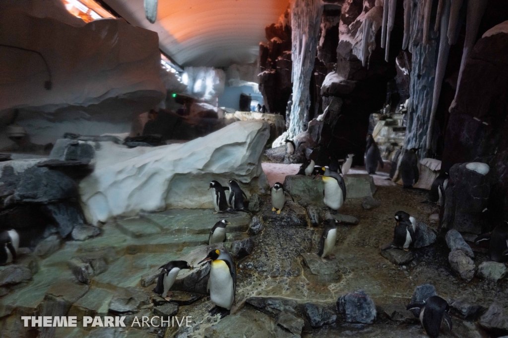 Penguin Trek at SeaWorld Orlando