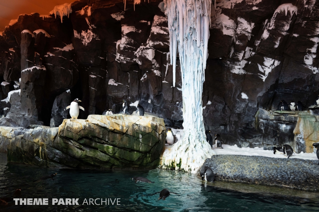 Antarctica Empire of the Penguin at SeaWorld Orlando