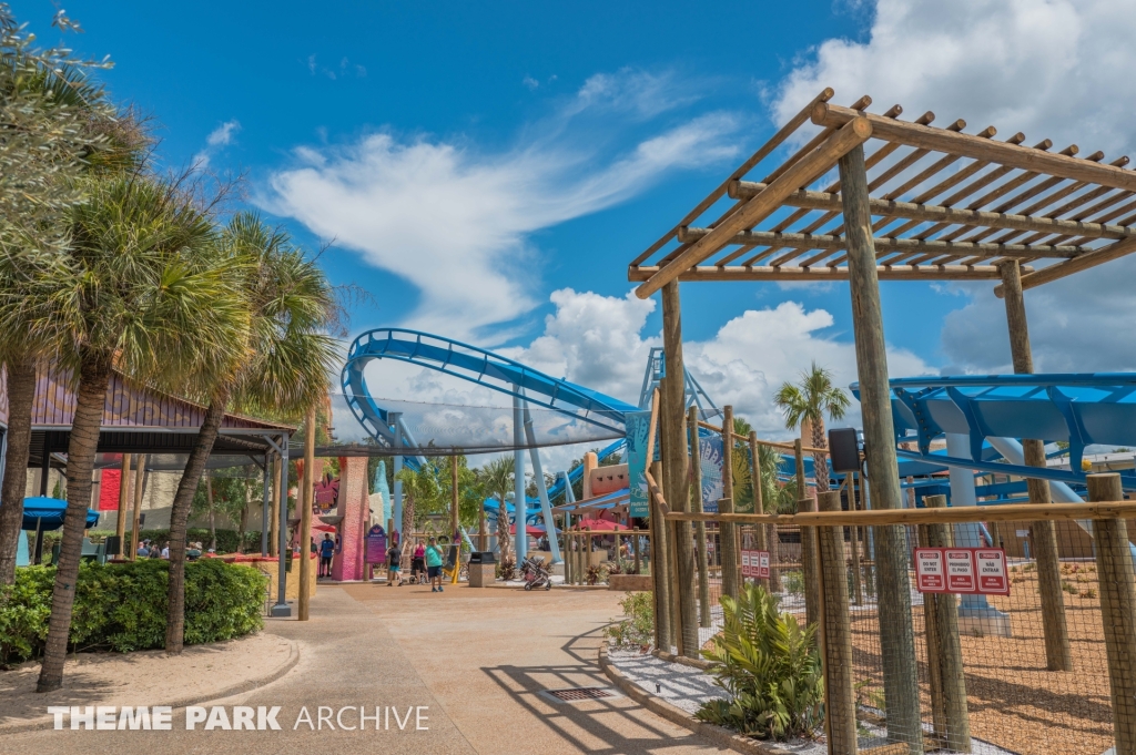 Phoenix Rising at Busch Gardens Tampa