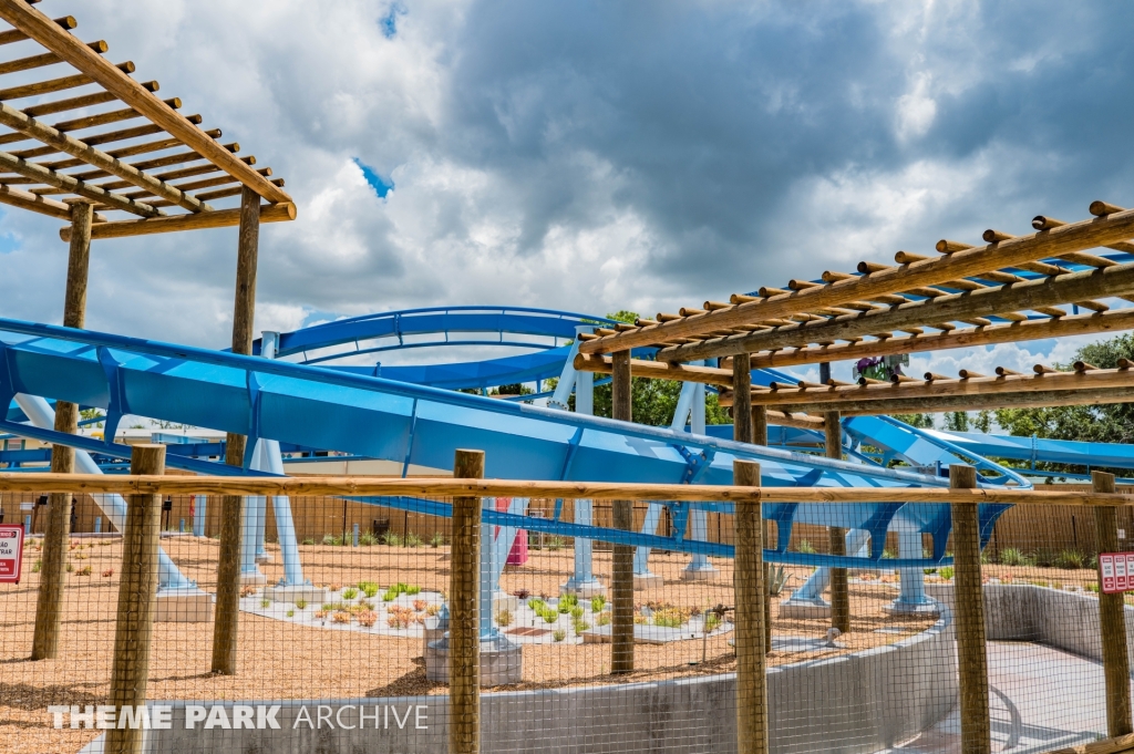 Phoenix Rising at Busch Gardens Tampa