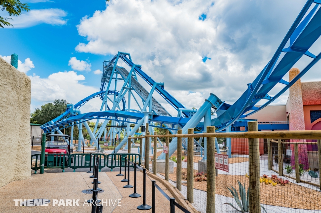 Phoenix Rising at Busch Gardens Tampa