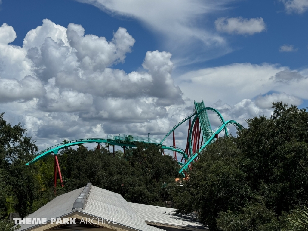 Kumba at Busch Gardens Tampa