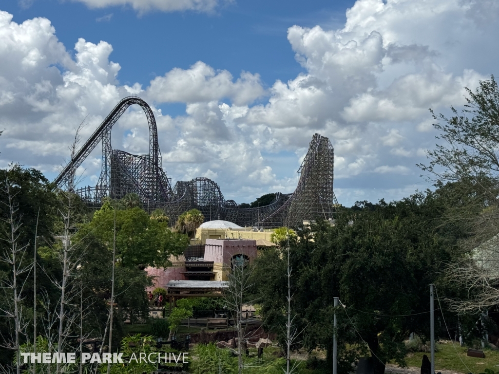 Iron Gwazi at Busch Gardens Tampa