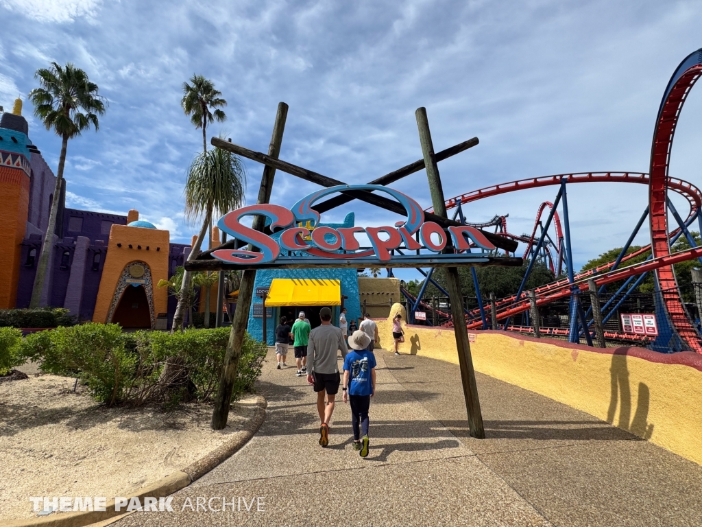 Scorpion at Busch Gardens Tampa