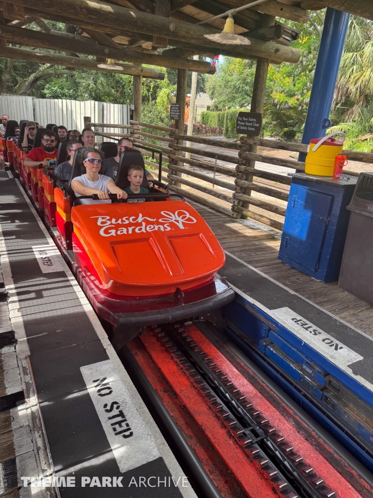 Scorpion at Busch Gardens Tampa