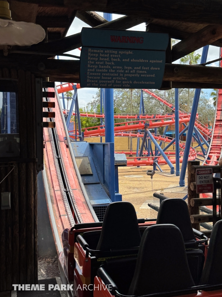 Scorpion at Busch Gardens Tampa