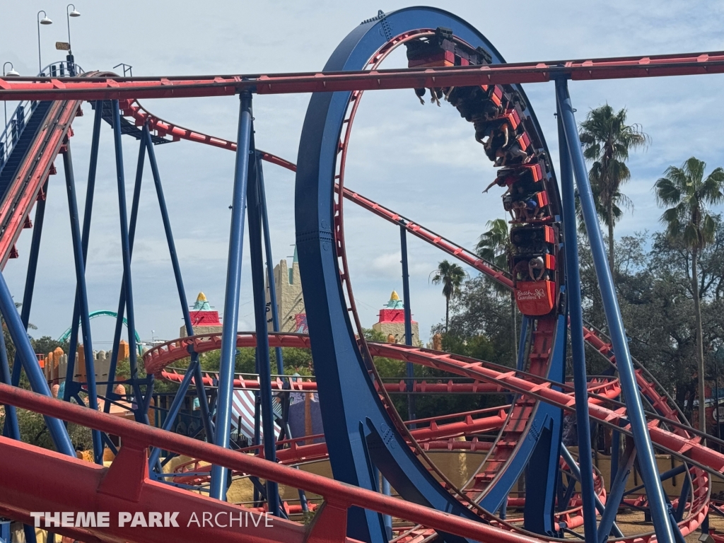 Scorpion at Busch Gardens Tampa