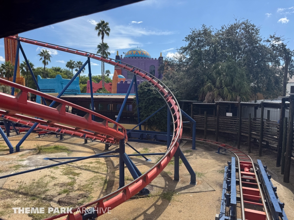 Scorpion at Busch Gardens Tampa