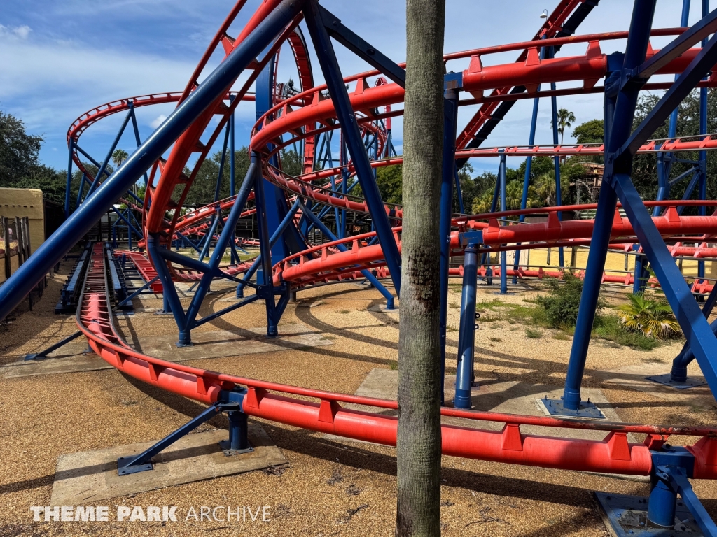 Scorpion at Busch Gardens Tampa