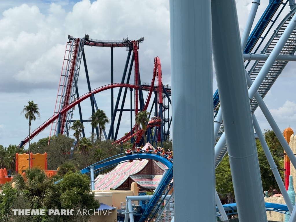 Scorpion at Busch Gardens Tampa