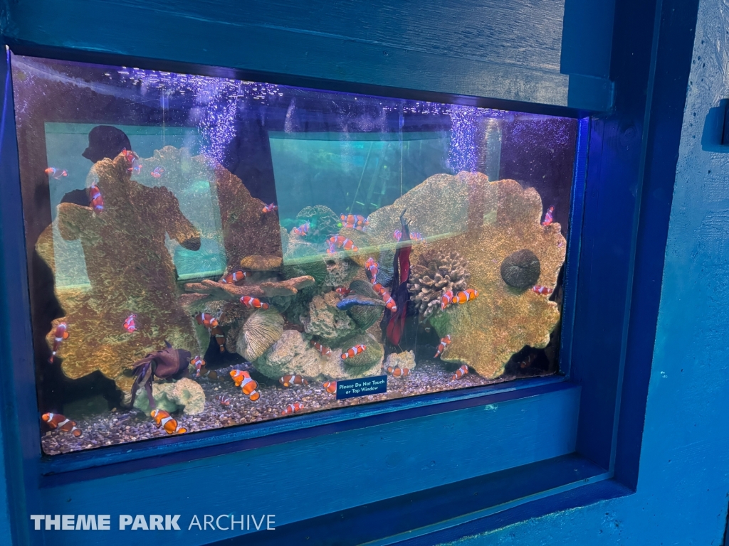 Shark Cave at Sea Life Park Hawaii