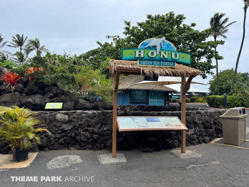 Honu Habitat at Sea Life Park Hawaii