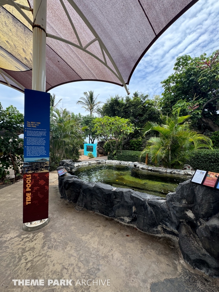 Discovery Reef at Sea Life Park Hawaii