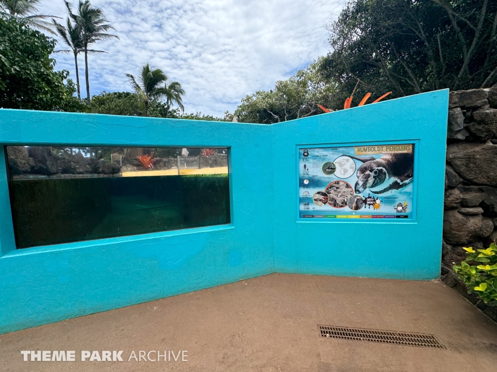 Penguin Habitat at Sea Life Park Hawaii