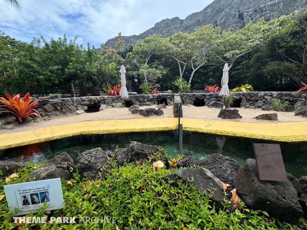 Penguin Habitat at Sea Life Park Hawaii