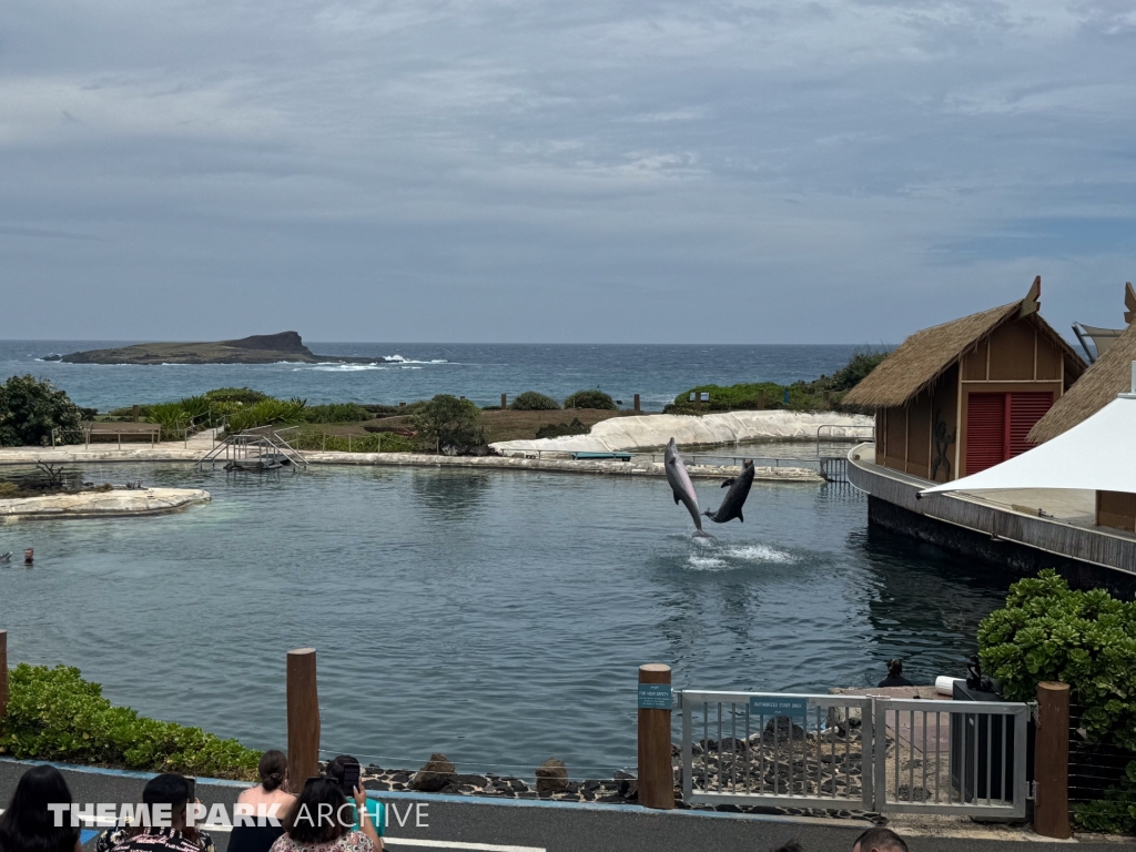 Dolphin Lagoon at Sea Life Park Hawaii