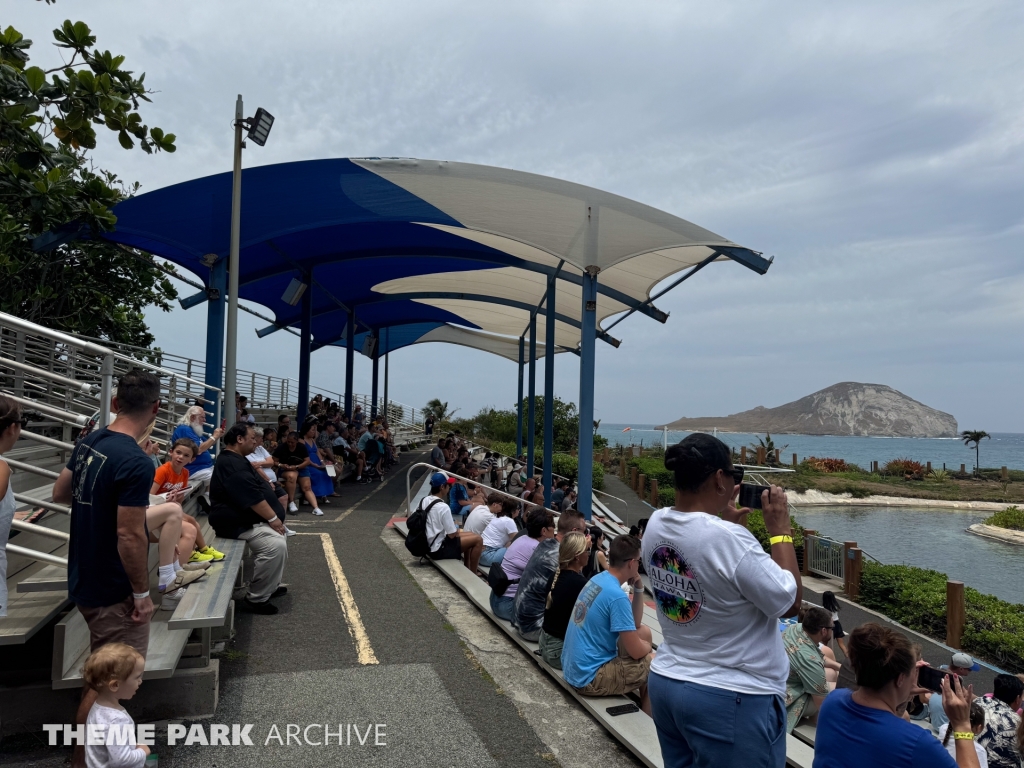 Dolphin Lagoon at Sea Life Park Hawaii