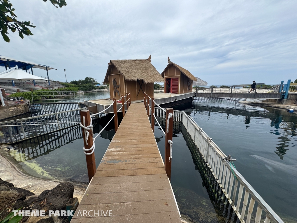 Dolphin Lagoon at Sea Life Park Hawaii