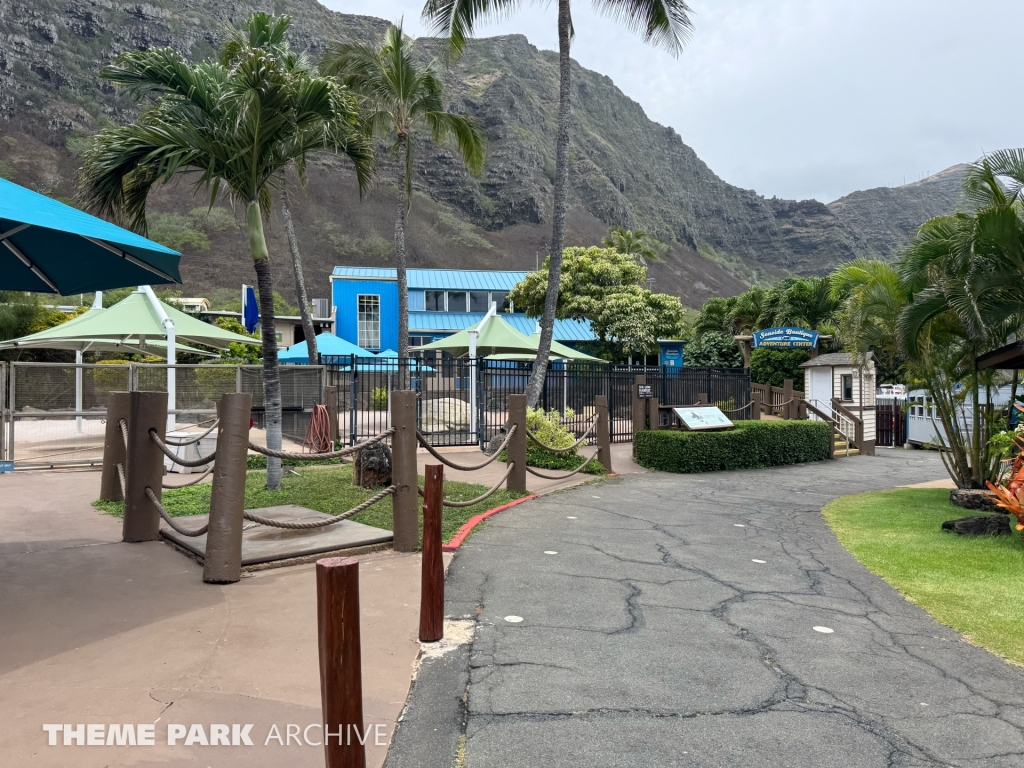 California Sea Lion Habitat at Sea Life Park Hawaii