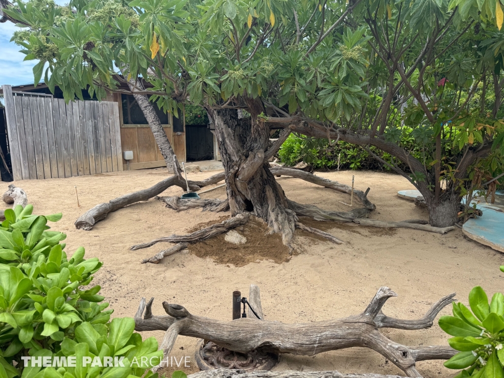 Sea Bird Sanctuary at Sea Life Park Hawaii