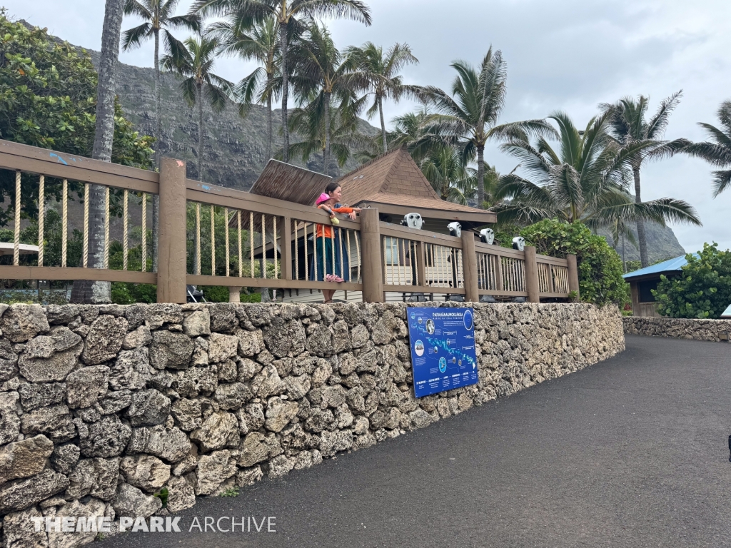 Hawaiian Monk Seal Habitat at Sea Life Park Hawaii