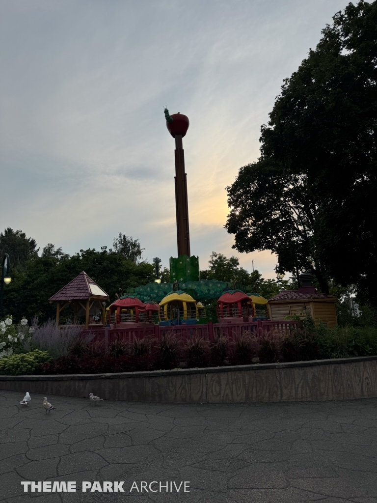 Pommes d’Api at La Ronde