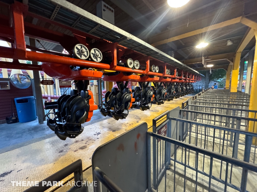 Ednor l'Attaque at La Ronde