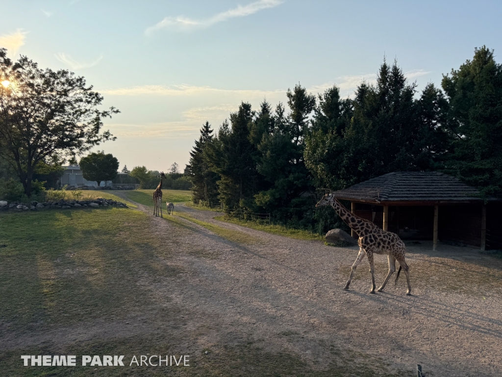 Misc at Zoo de Granby