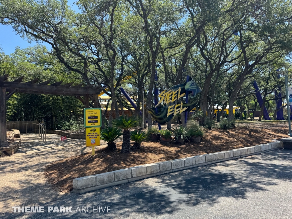 Steel Eel at SeaWorld San Antonio