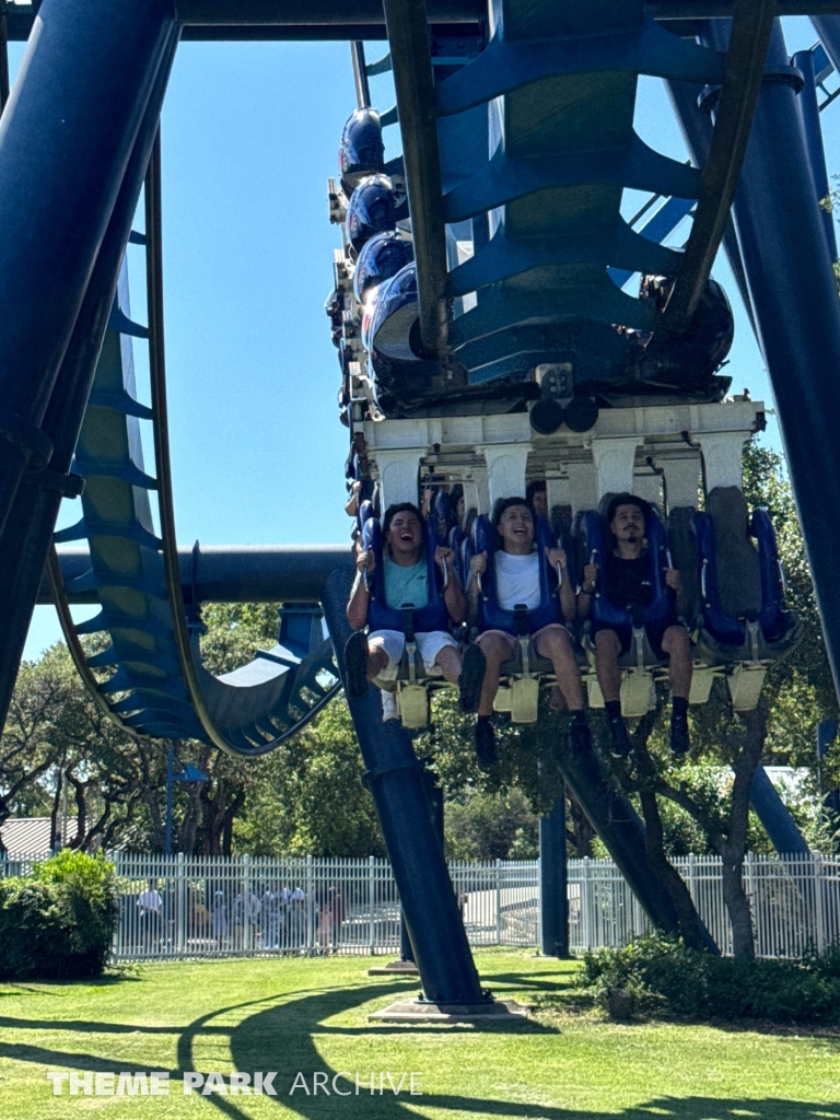 The Great White at SeaWorld San Antonio