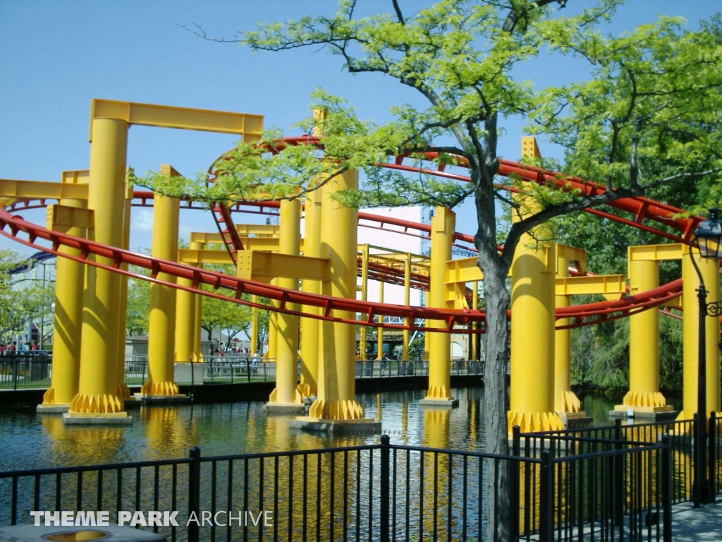 Iron Dragon at Cedar Point