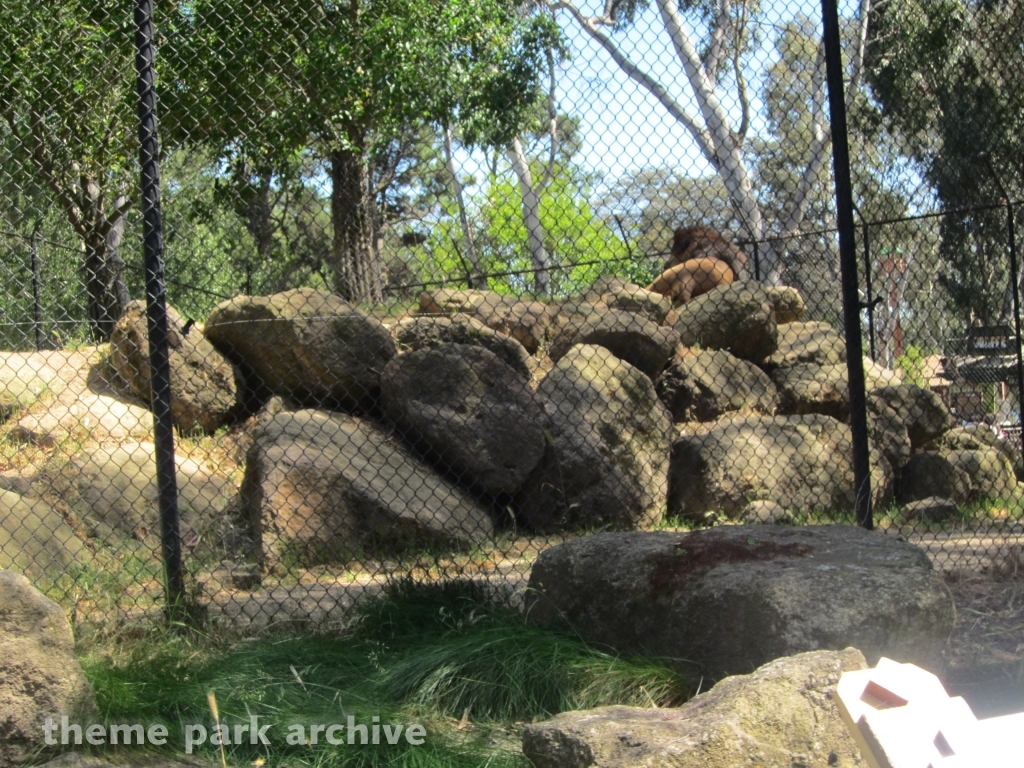 Tiger Island at Six Flags Discovery Kingdom