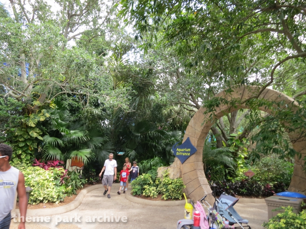 Manta at SeaWorld Orlando